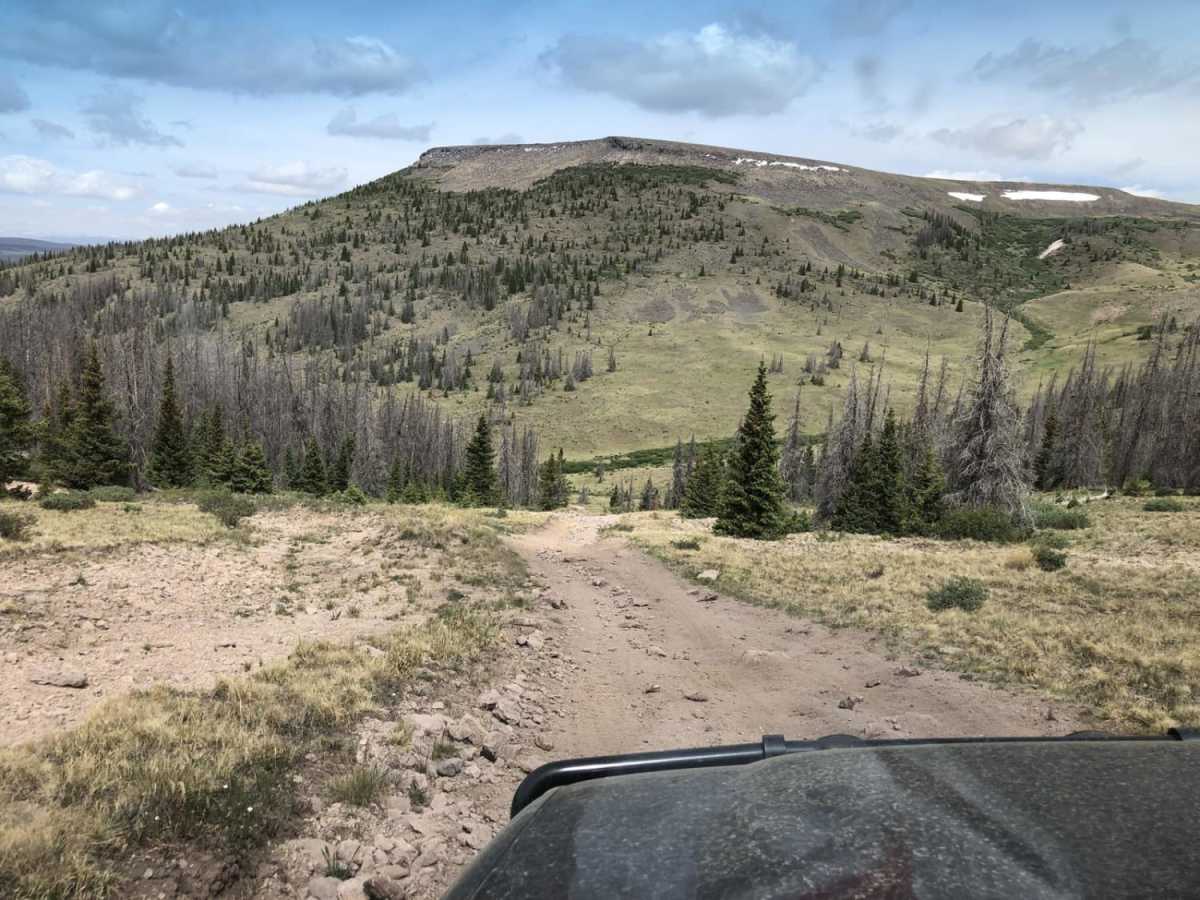 Wheeler Geologic - via Alder Creek (FS610) photo 4
