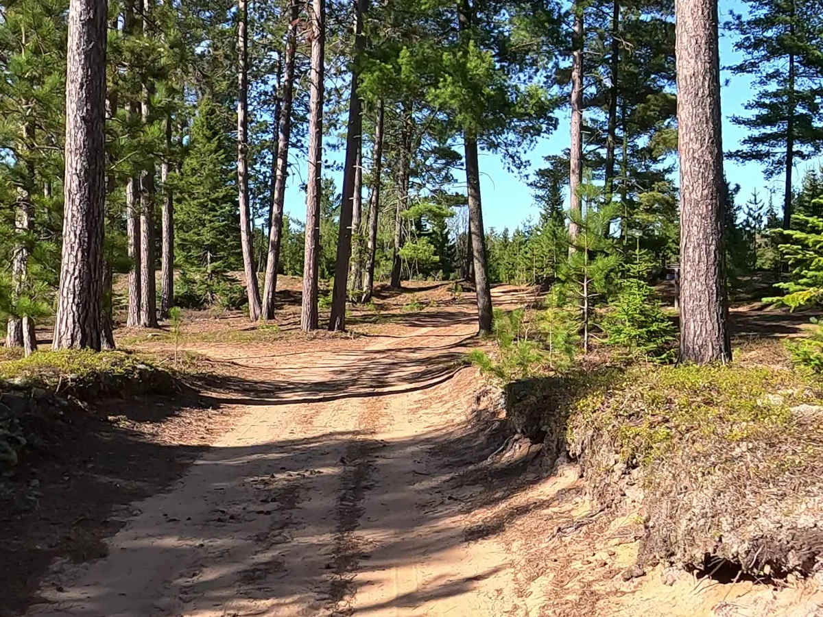 CCL Trail photo 2