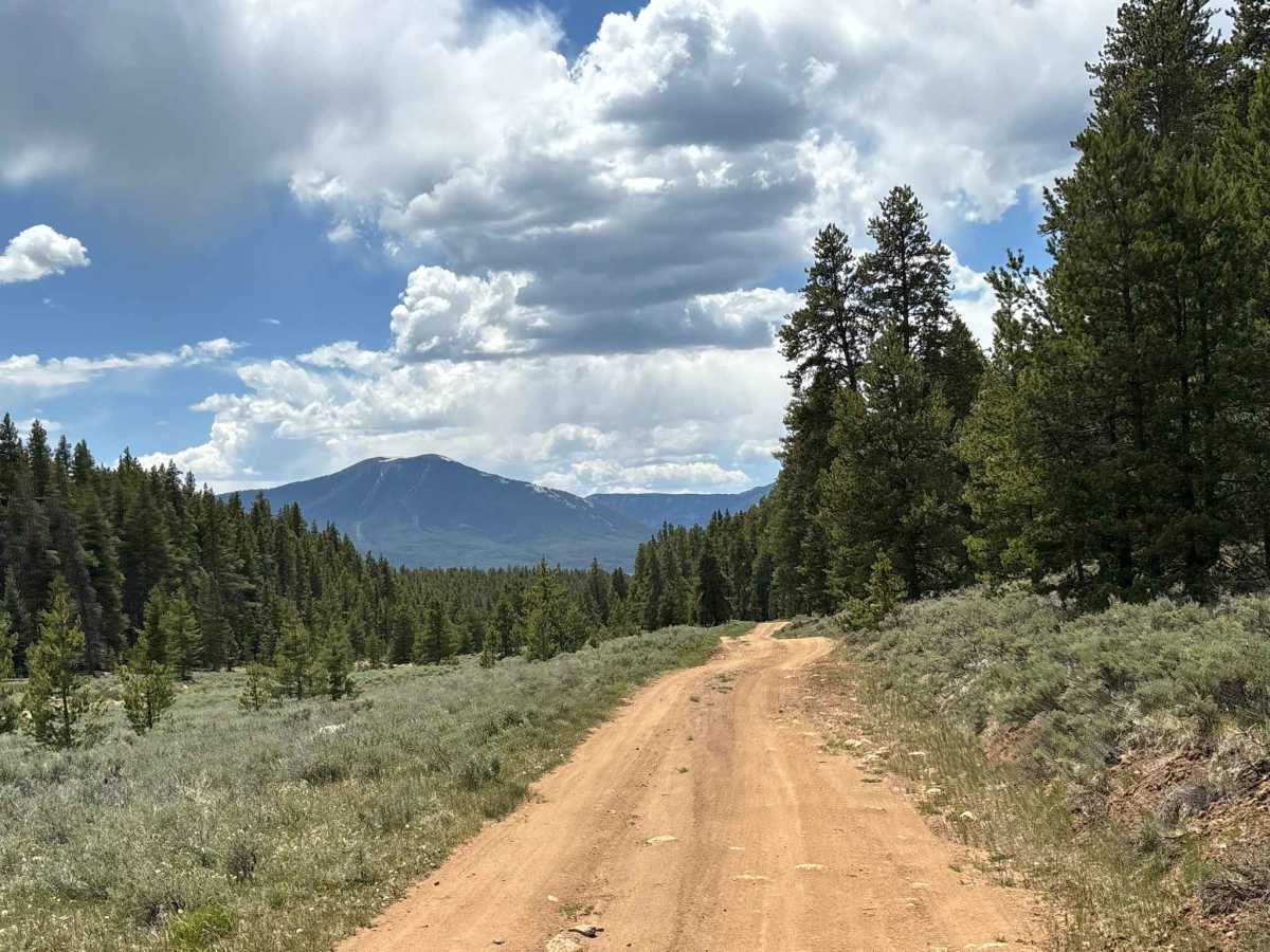 Adm Site Road photo 2