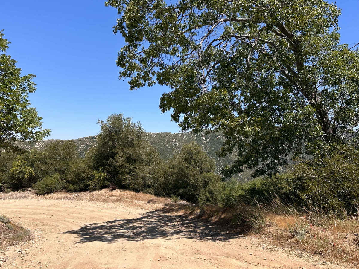 Shale Ridge photo 5