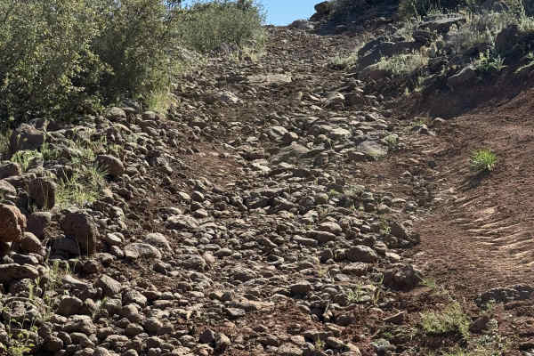 Cooks Mesa - FS 560