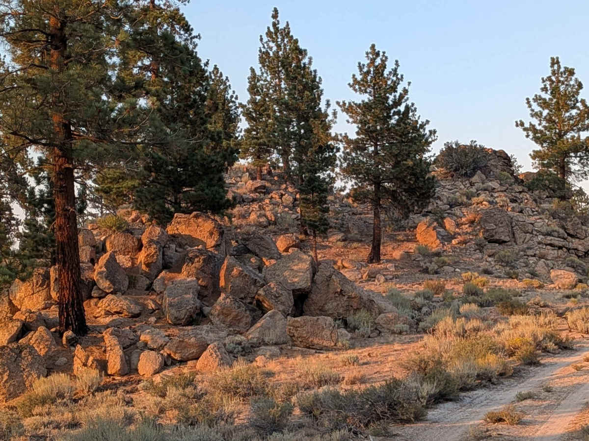 Bishop Tuff Scenic Loop - FS 4S38 photo 6