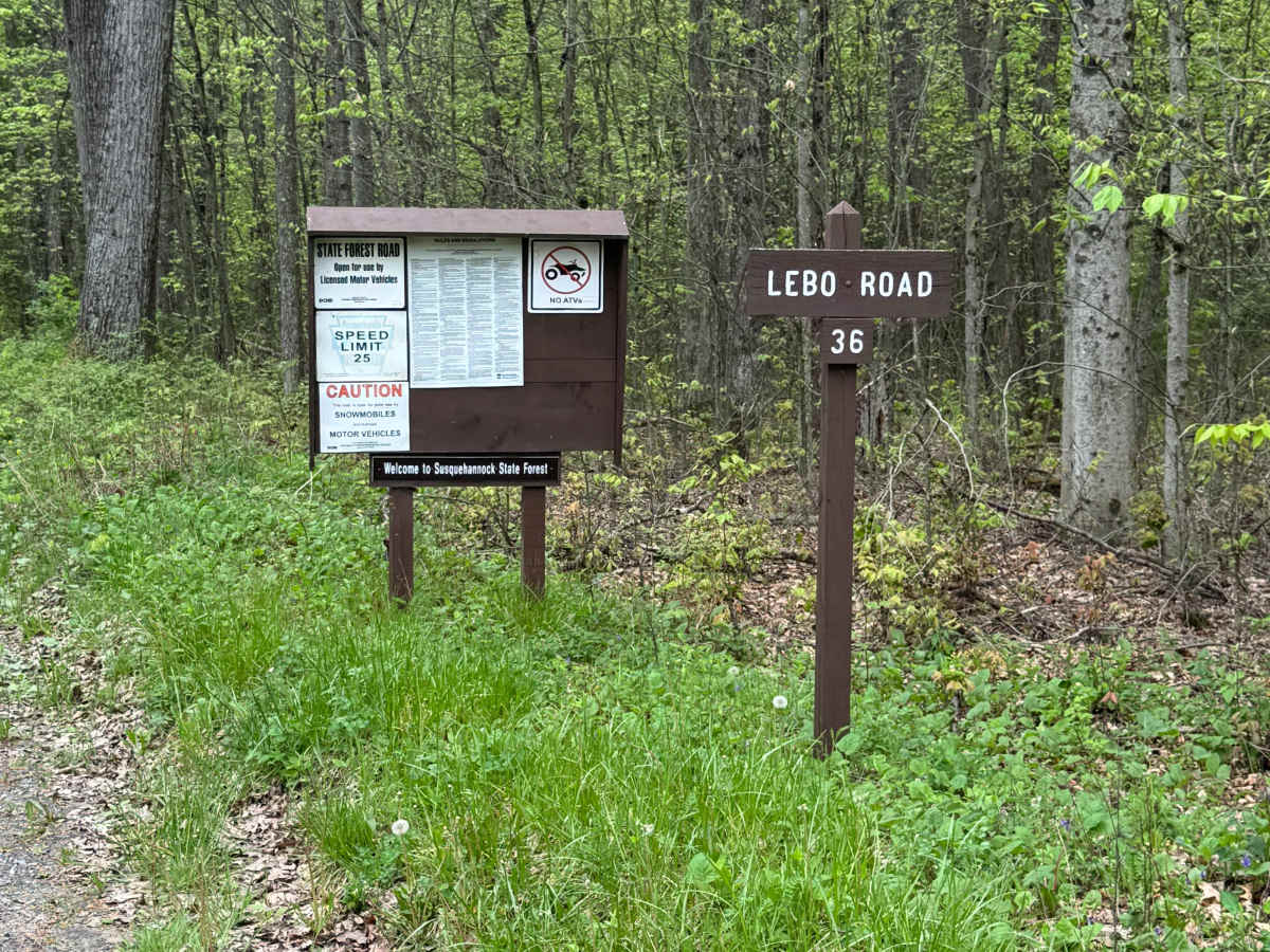 Lebo Road trail photo