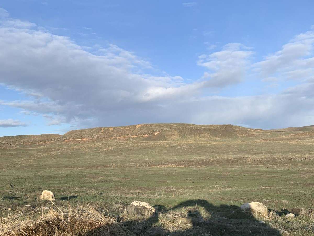 Wickahoney Stage Stop from Bruneau photo 2