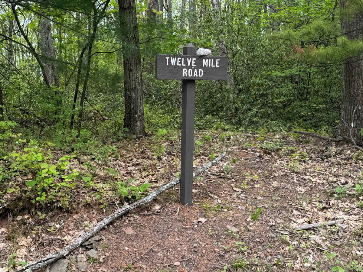 Twelve Mile Road trail photo