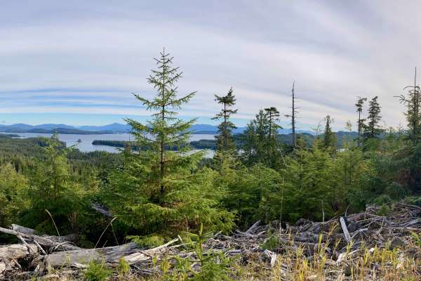 Whale Pass Road - FS 3065000