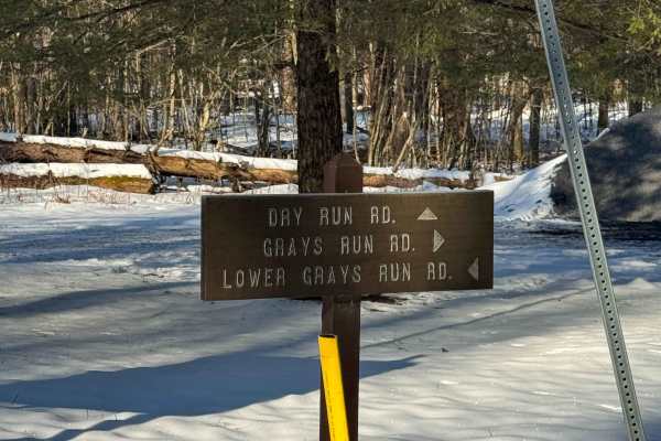 Grays Run Road