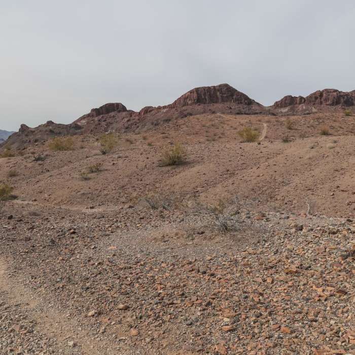 Near SARA Mountain-Wash Loop