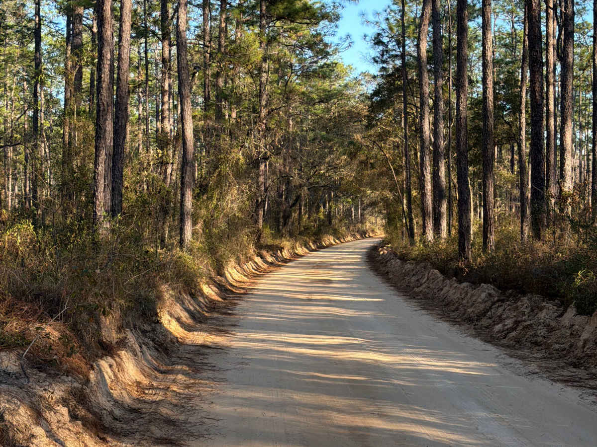 LL Wallace Road - FS 620 photo 4