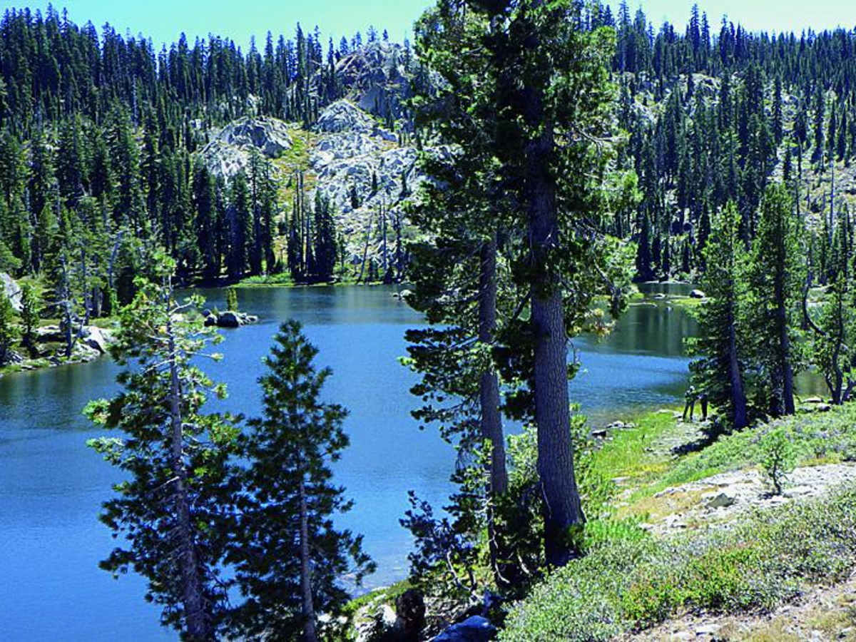 Snake Lake photo 6