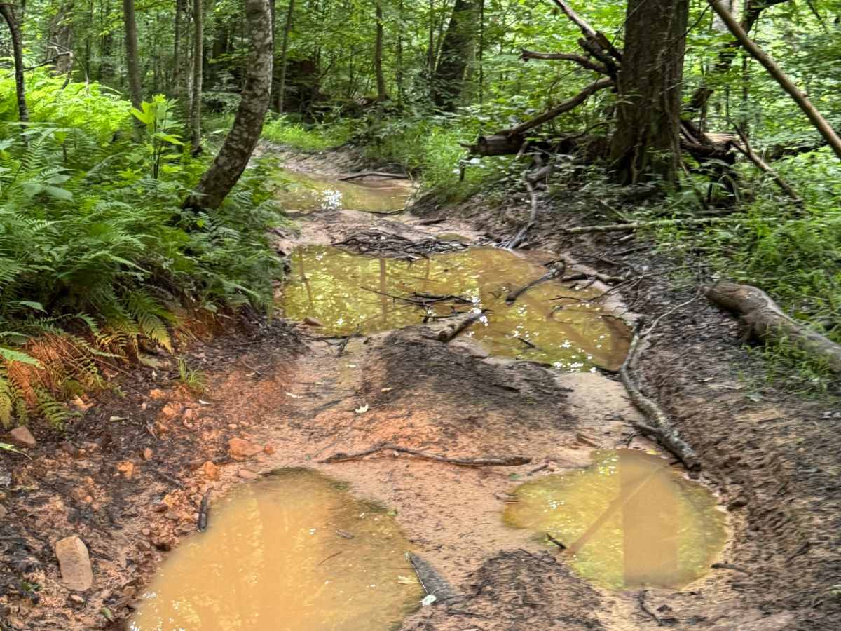 Trail 4 photo 4