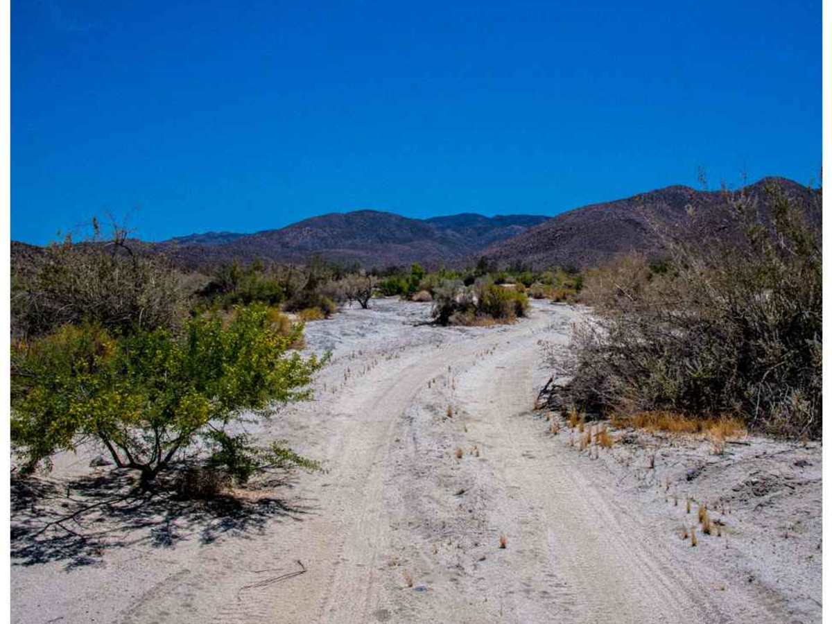 Nolina Wash Road photo 4
