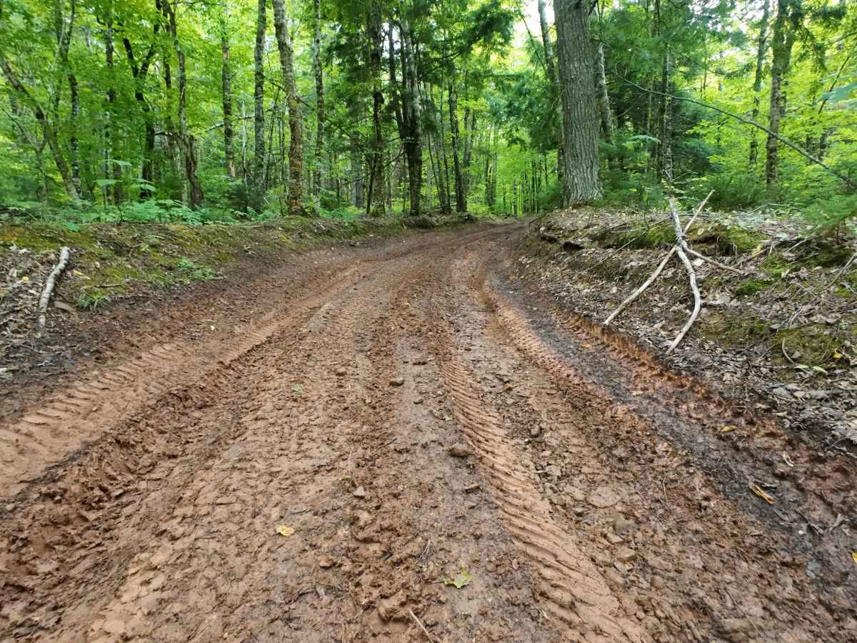 Mud Hill photo 4