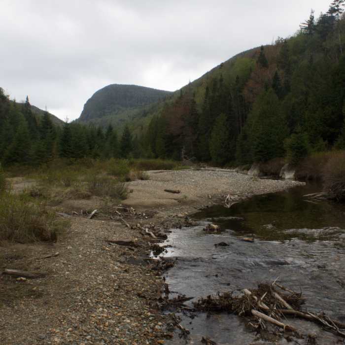 Near Indian Pass Trail