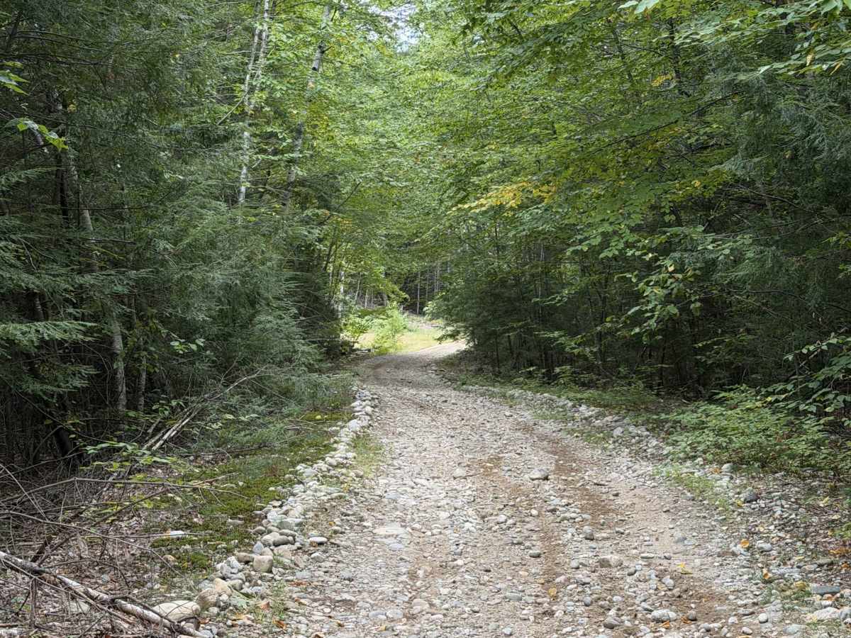 Marsh Ridge Road photo 2