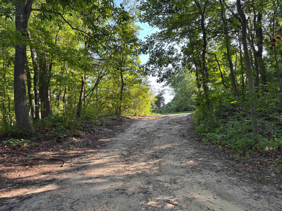 UTT Connector Trail photo 4