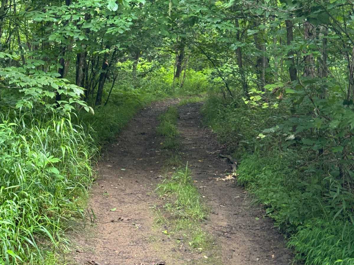 Trail 68 photo 6