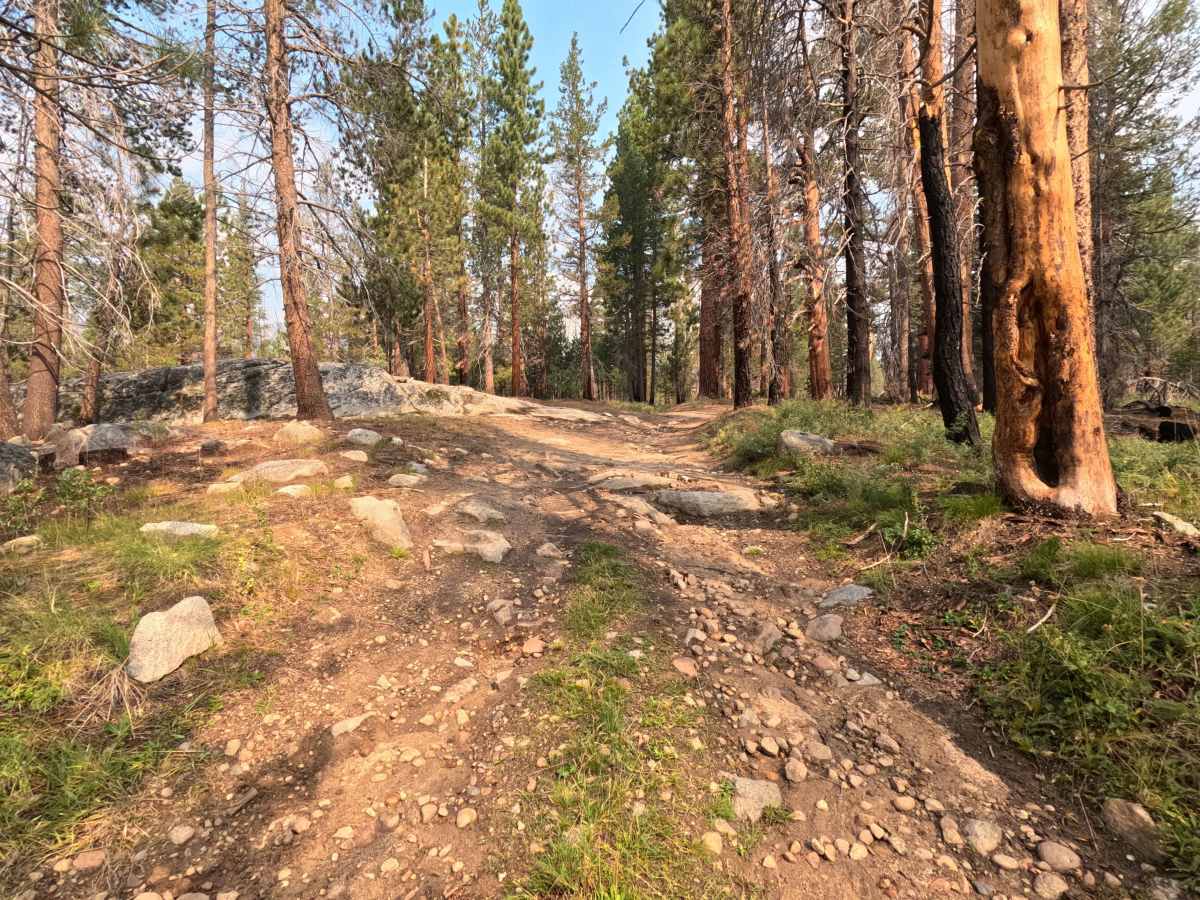 Onion Springs - FS 27E223 photo 2