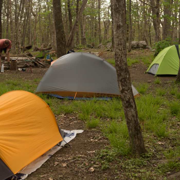 Backcountry campsite #13. A short walk to the bald. Near Gregory Bald Out and Back