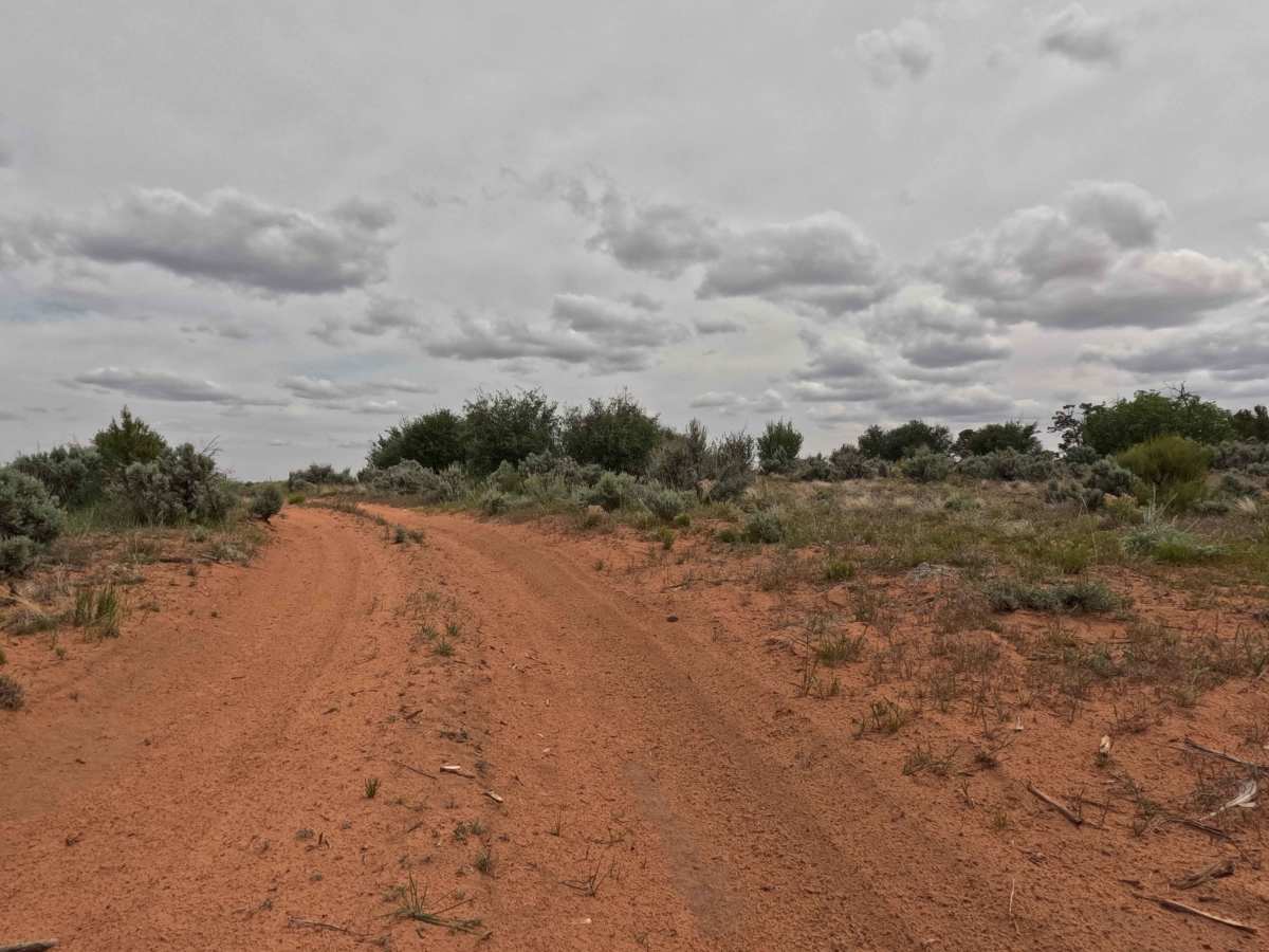 BLM 60J photo 6