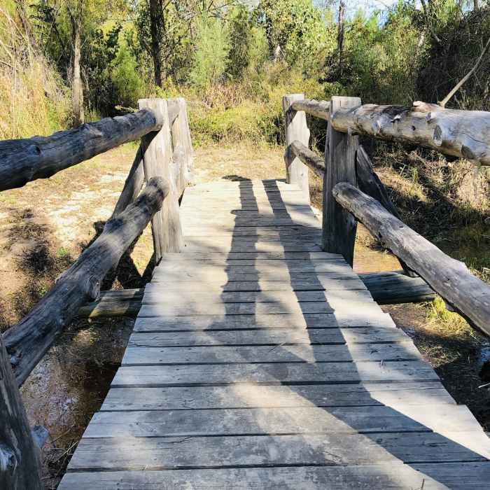 Bridge on the Scenic Overlook Trail Near Bastrop State Park: Scenic Overlook Trail & Lost Pines Loop