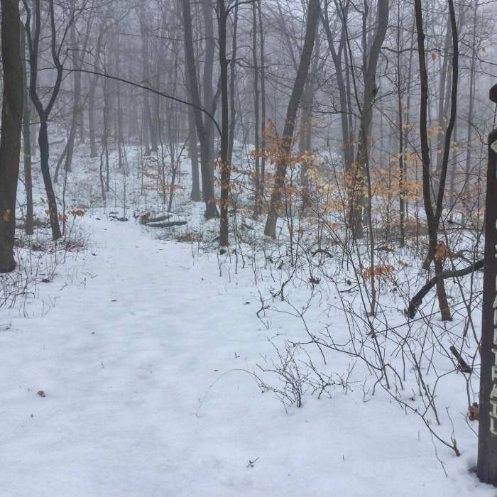 Two trails meet here Near Summit Trail