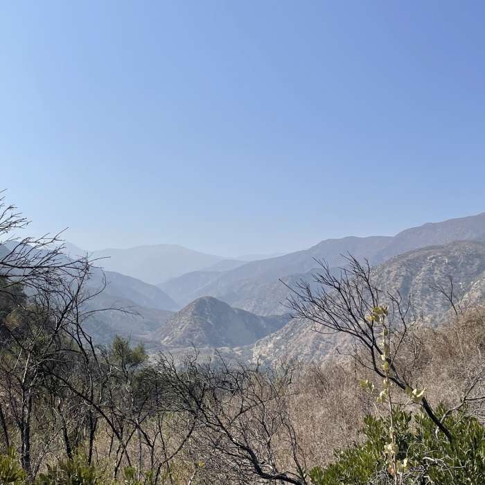 Near Cozy Dell Trail (23W26)
