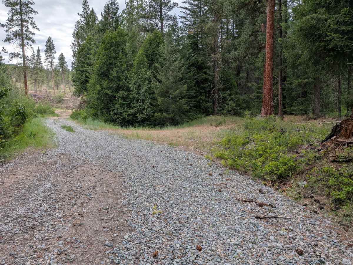 Chiliwist Creek Road photo 5