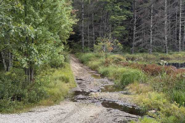 Edan Page Road