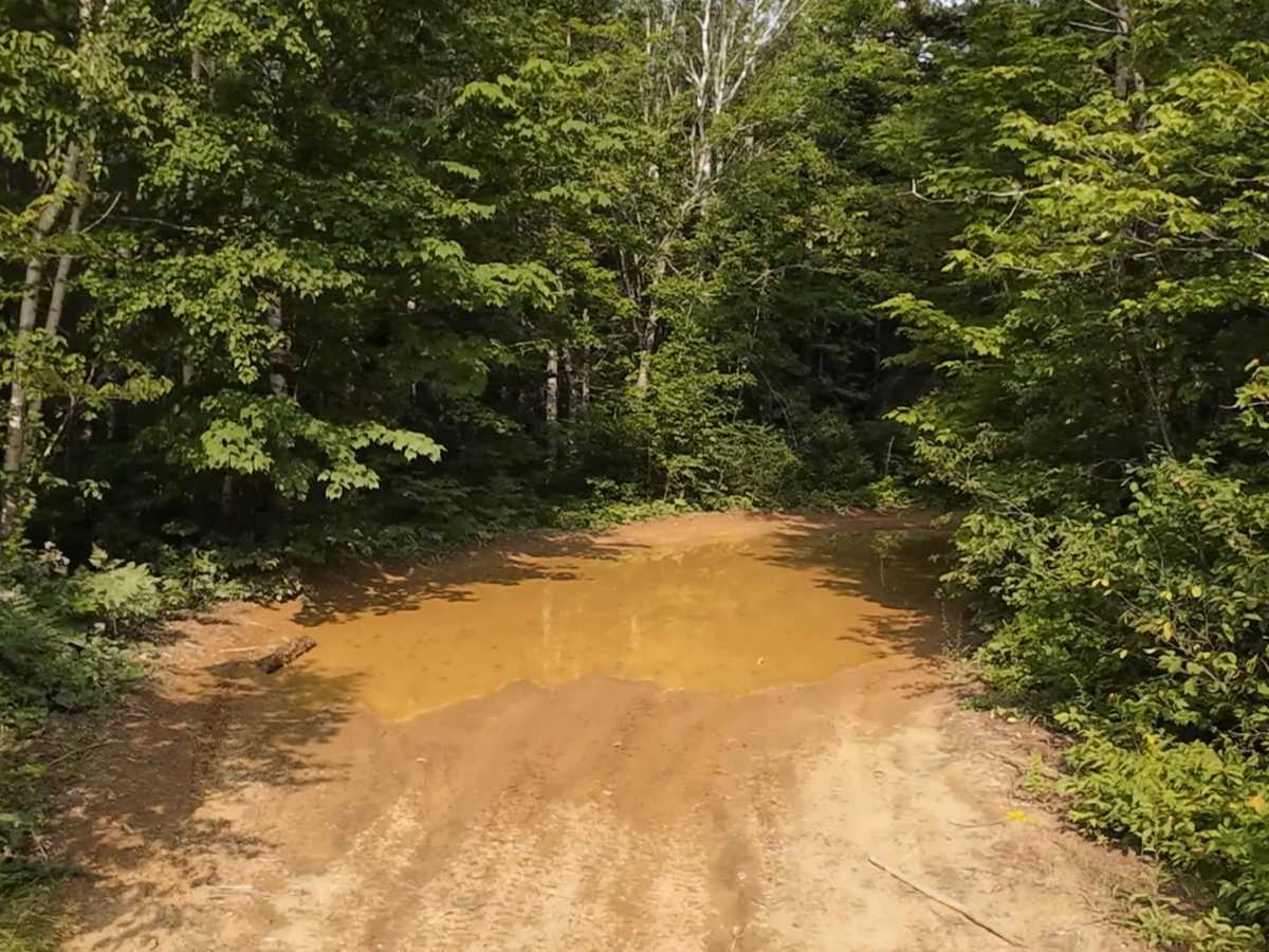 Hardscrabble Clear Cut photo 2