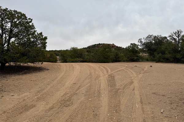 Tree Line Loop