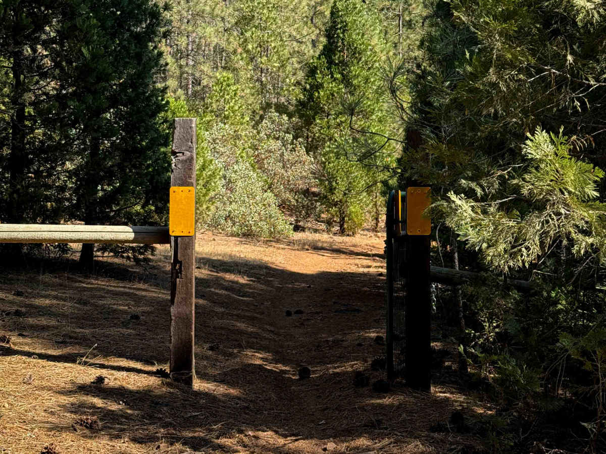 16EV407  photo 3