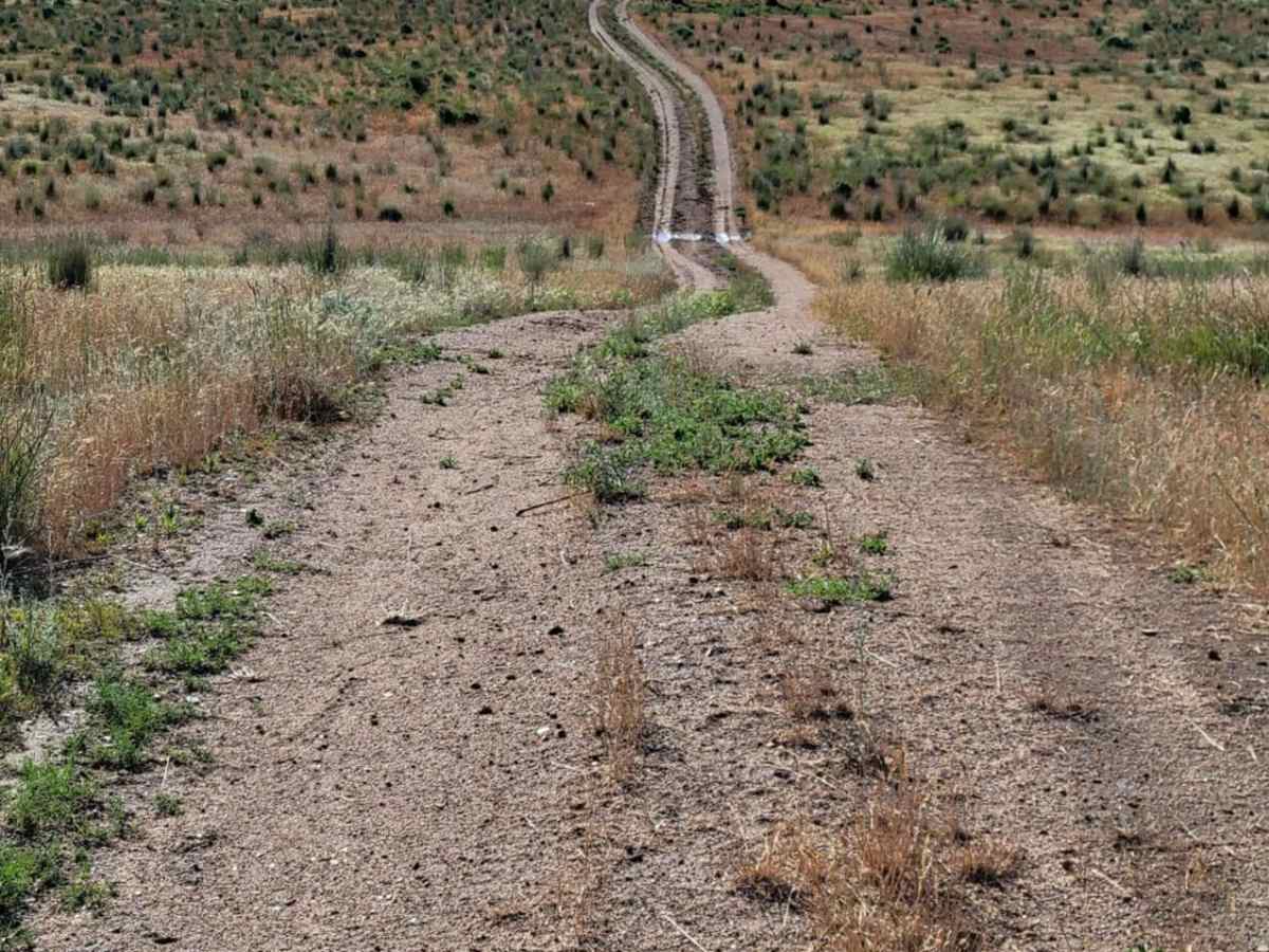 Power Line Access trail photo