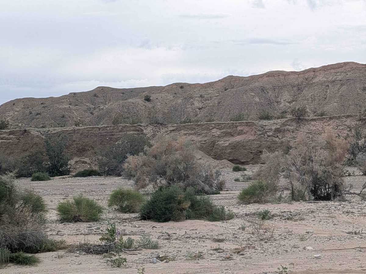 EC1229 photo 3