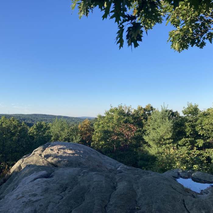 Near Blue Trail (Ridge Loop Trail)