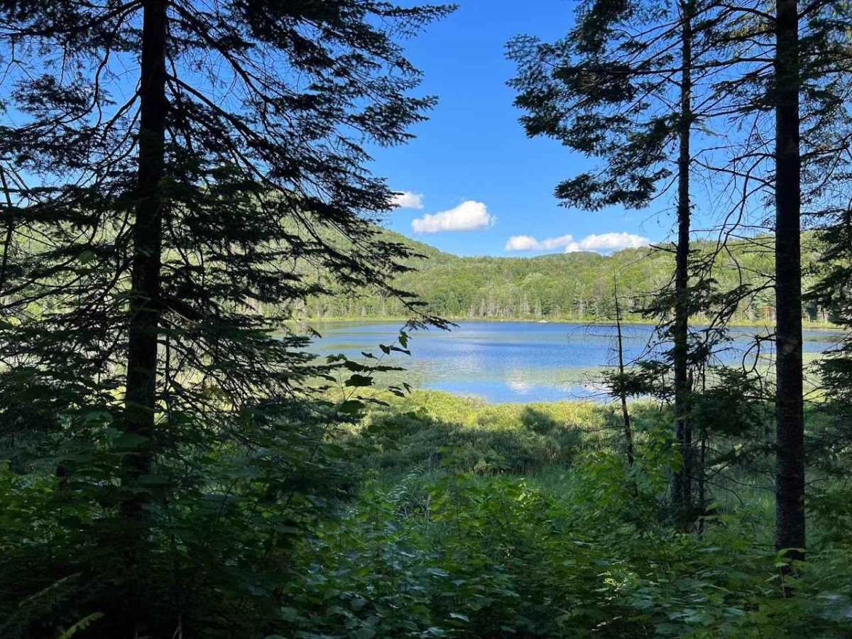 Wheeler Mountain Road trail photo