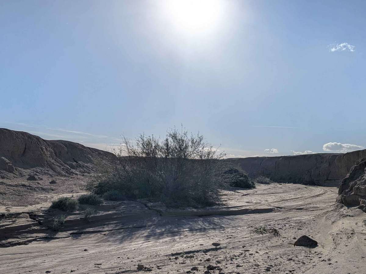 BLM 331 photo 4