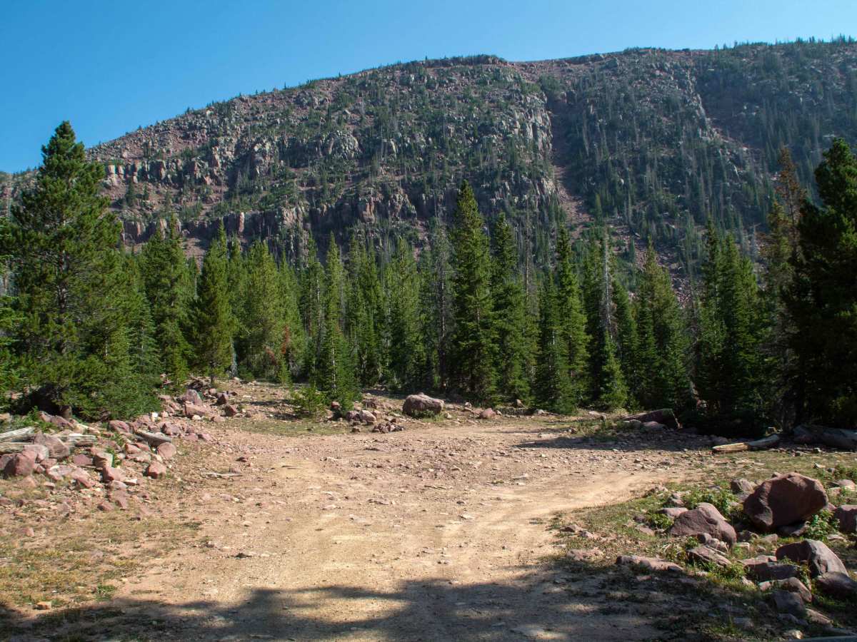 South Fork Rock Creek - FS 10143 photo 5
