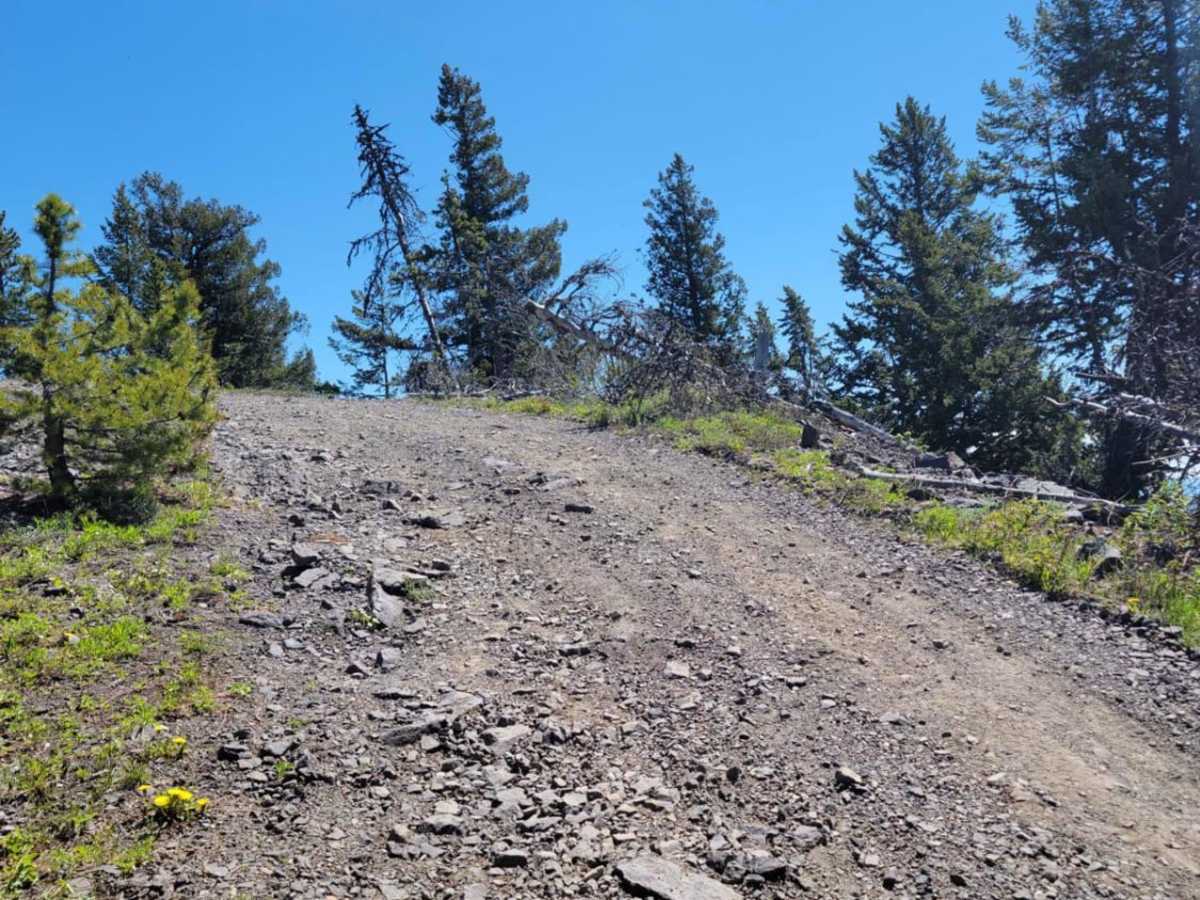 Iron Mountain photo 2