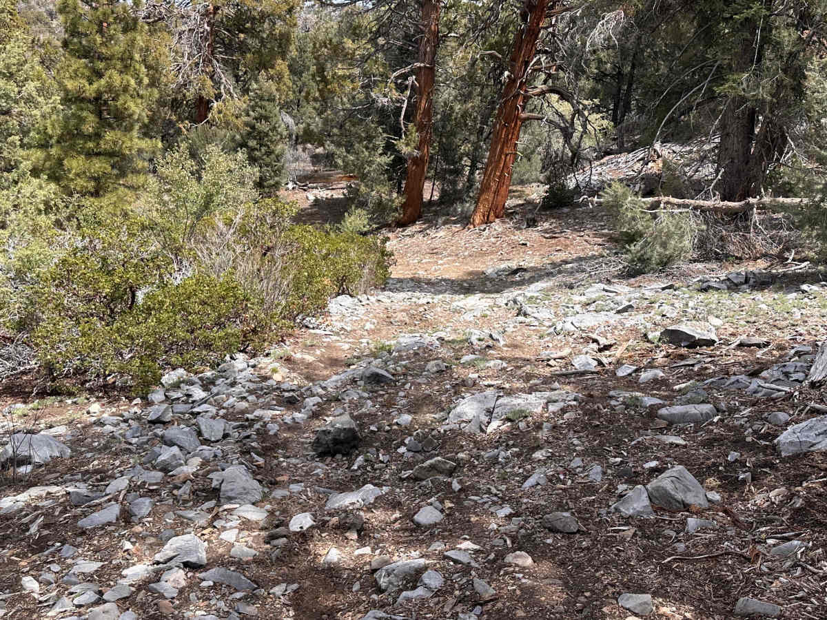 Baby Billy's Button-Hook trail photo