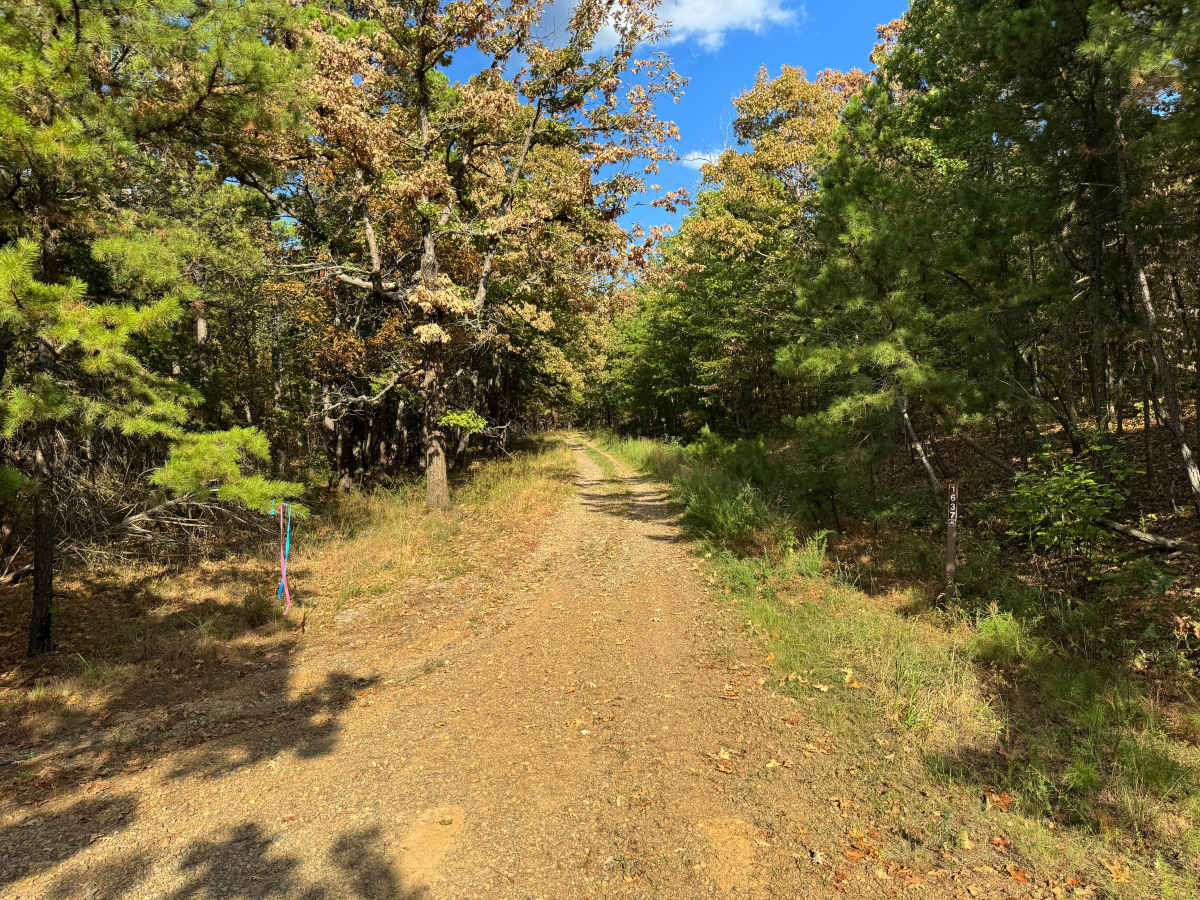 Put Up trail photo