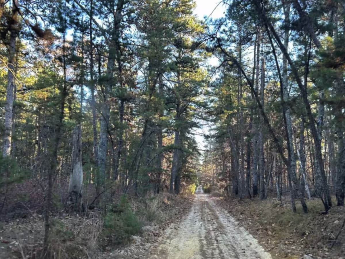 Battie Trail photo 5