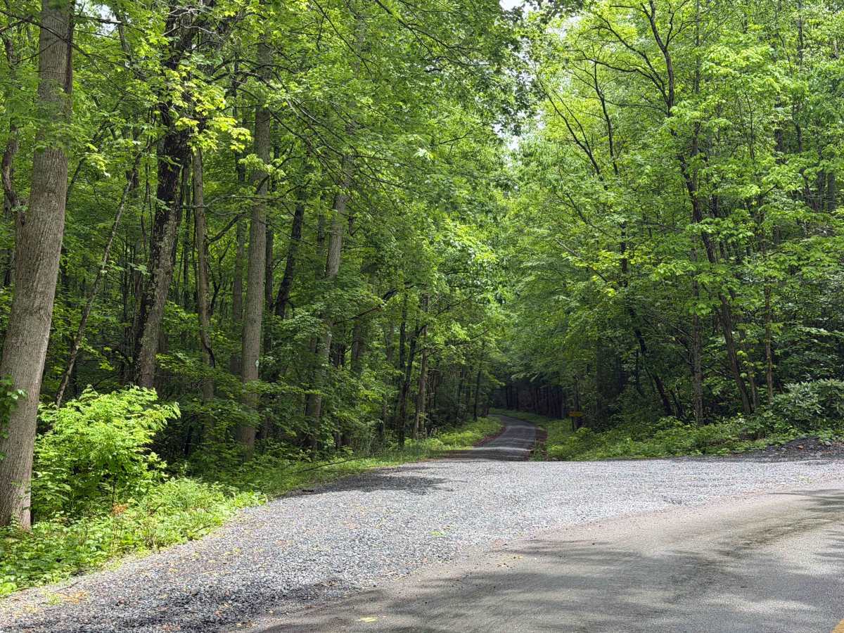 Camp - FS 16 trail photo