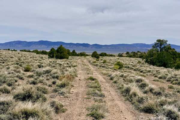 Deer Spring Trail - FS 23201