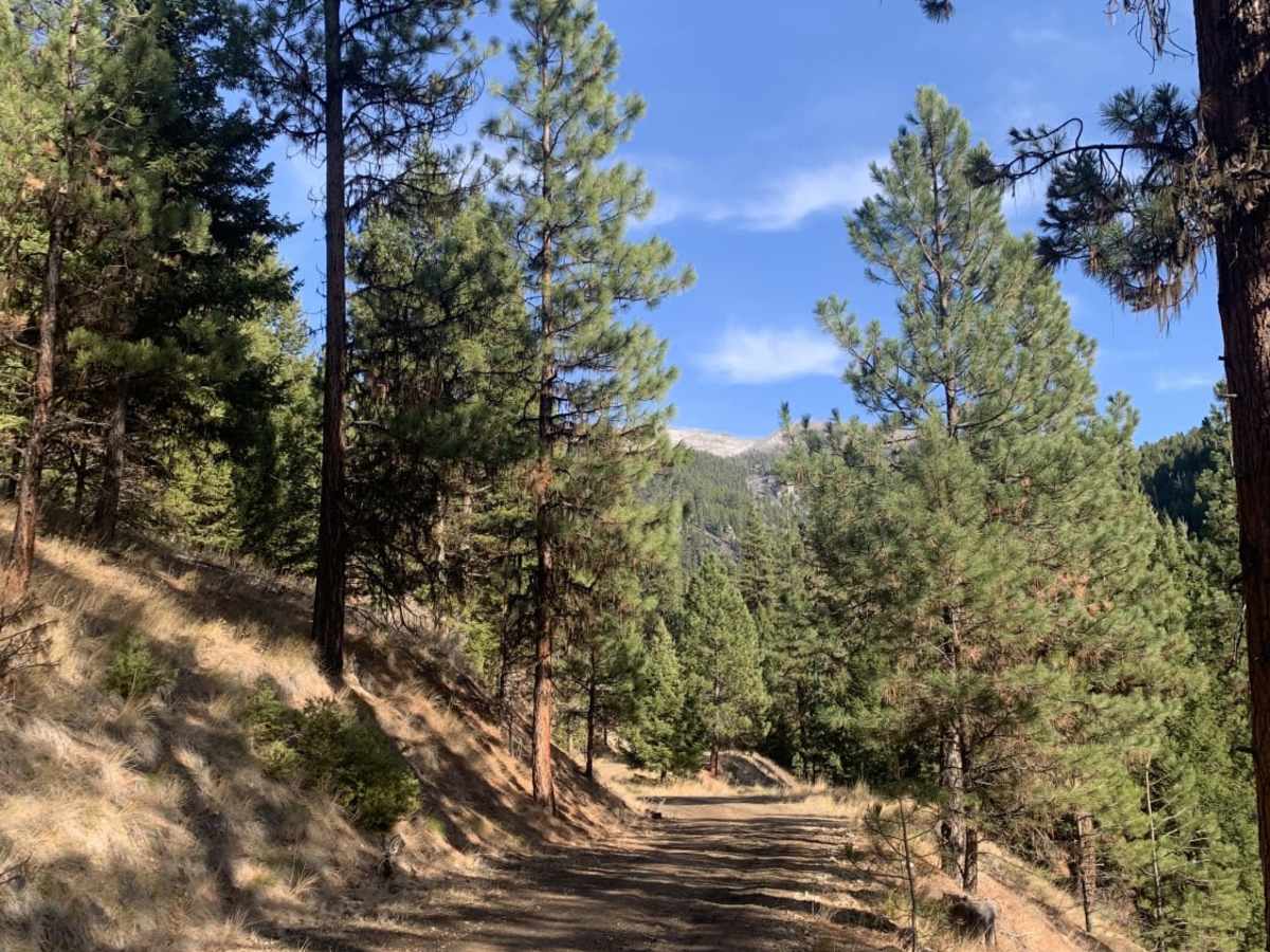 Slate Creek photo 6