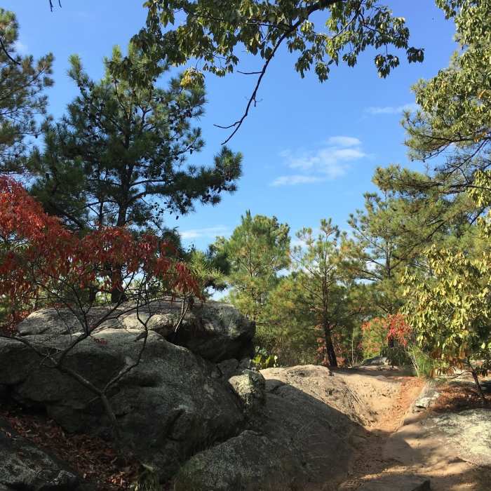 Near Kennesaw Mountain Full Loop