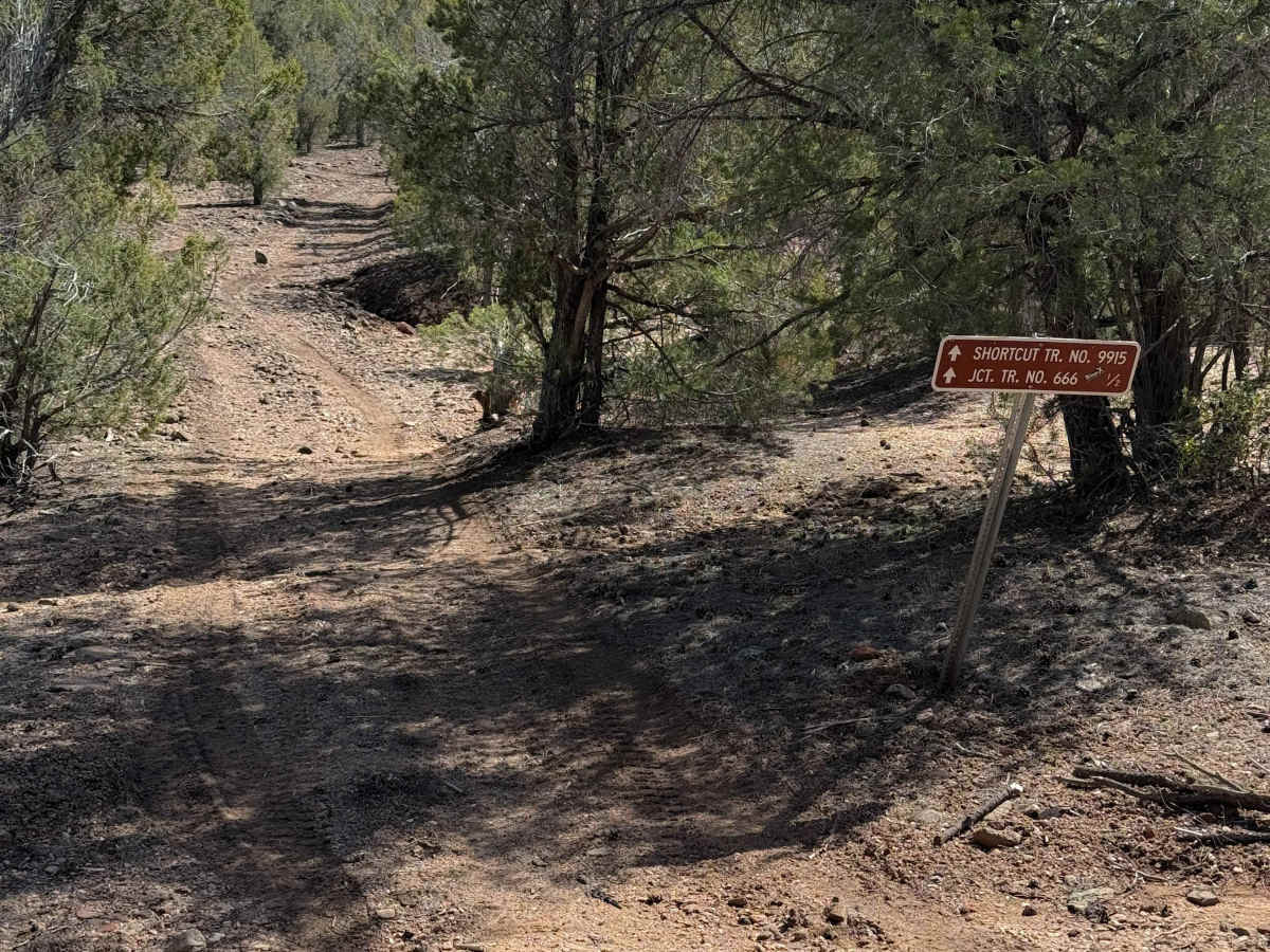 #9915  trail photo