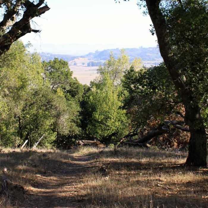 Near Deer Island Open Space Preserve