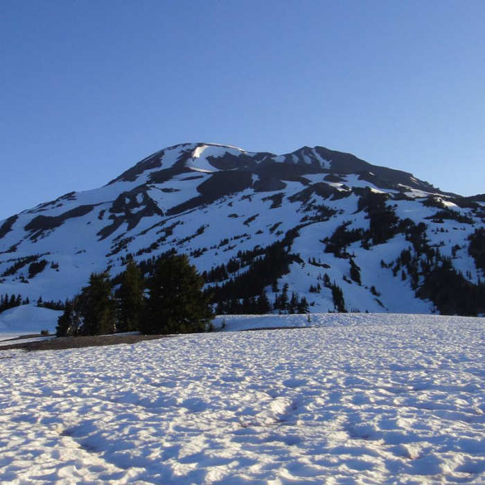 Near South Sister Climber Trail #36 Near South Sister Climber Trail #36