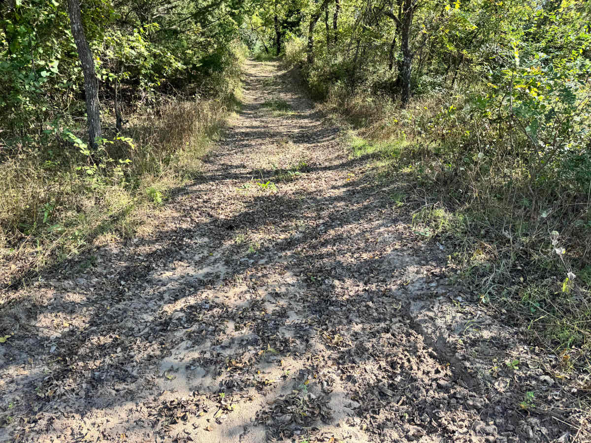 Garage Queen Run trail photo